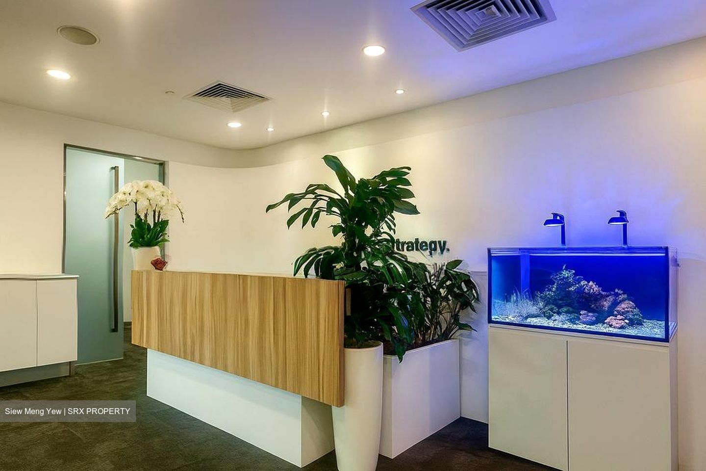 Sbf Center (D1), Office #496029011